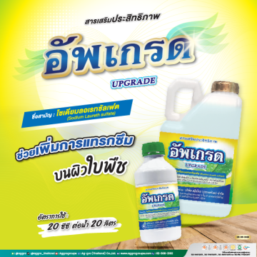 อัพเกรด